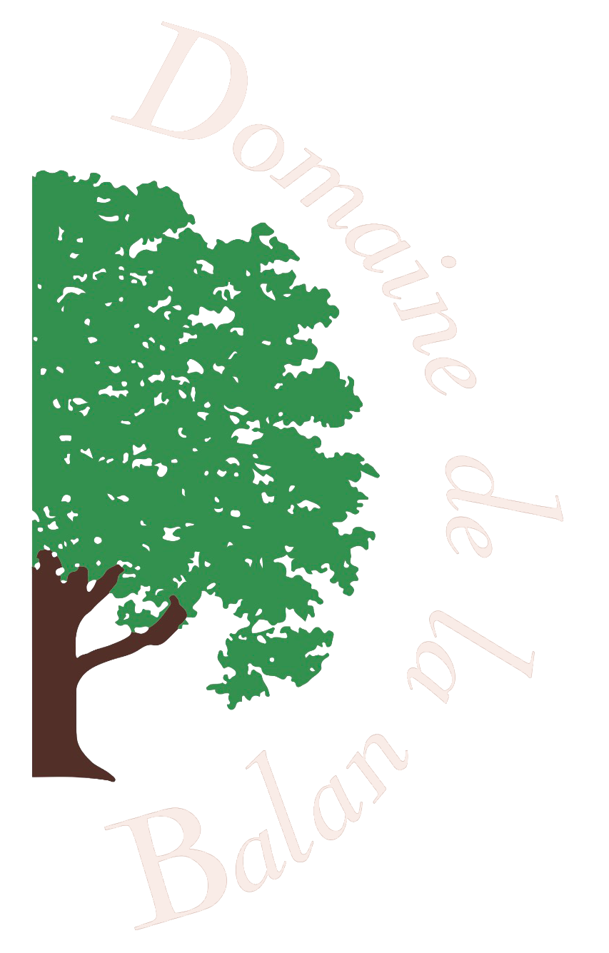 Logo Domaine de la Balan